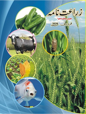 Zarat Nama February 2026